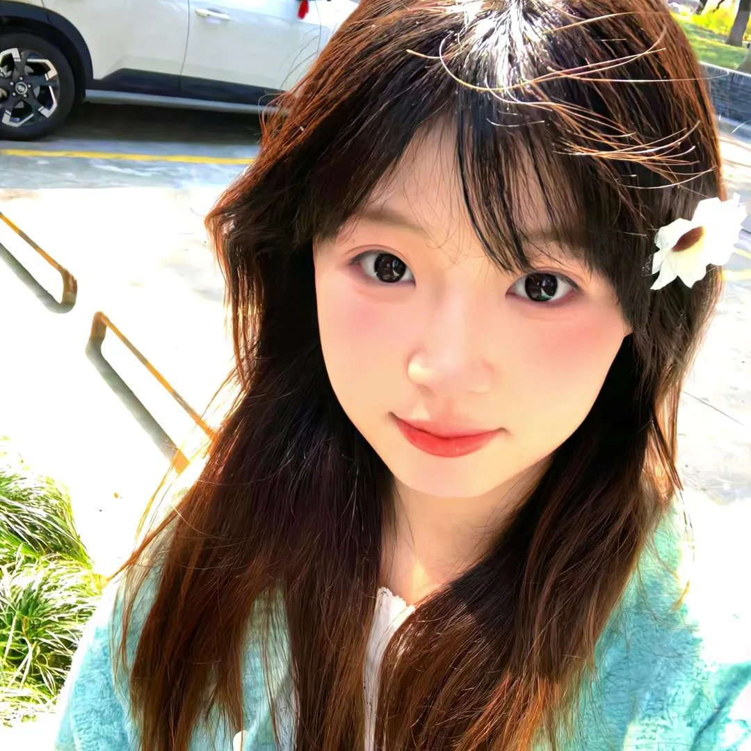 我的蠢老板